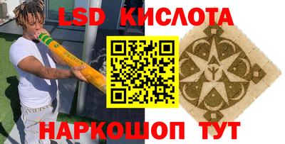 шишки Гатчина