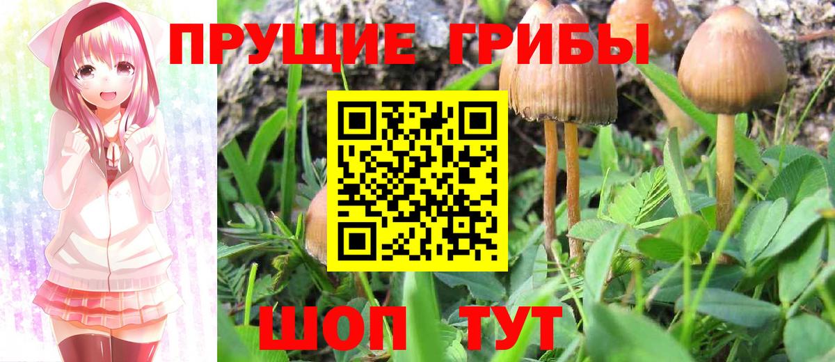 Галлюциногенные грибы мицелий Елабуга