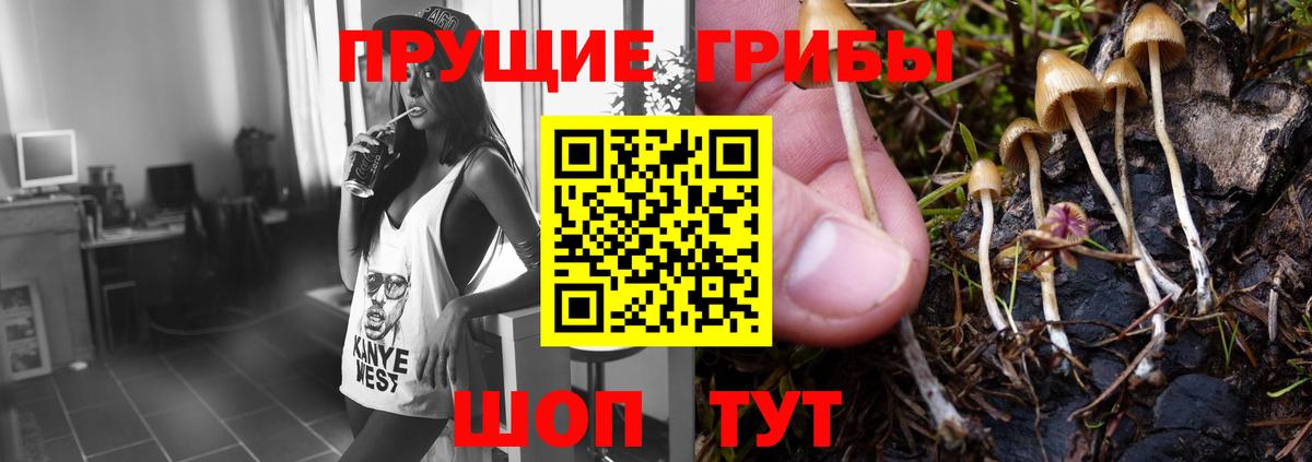 Псилоцибиновые грибы мицелий  Вход с VPN  Елабуга 